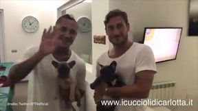 #dziejesiewsporcie: Grosicki trenuje na wakacjach, Totti adoptuje bulldoga