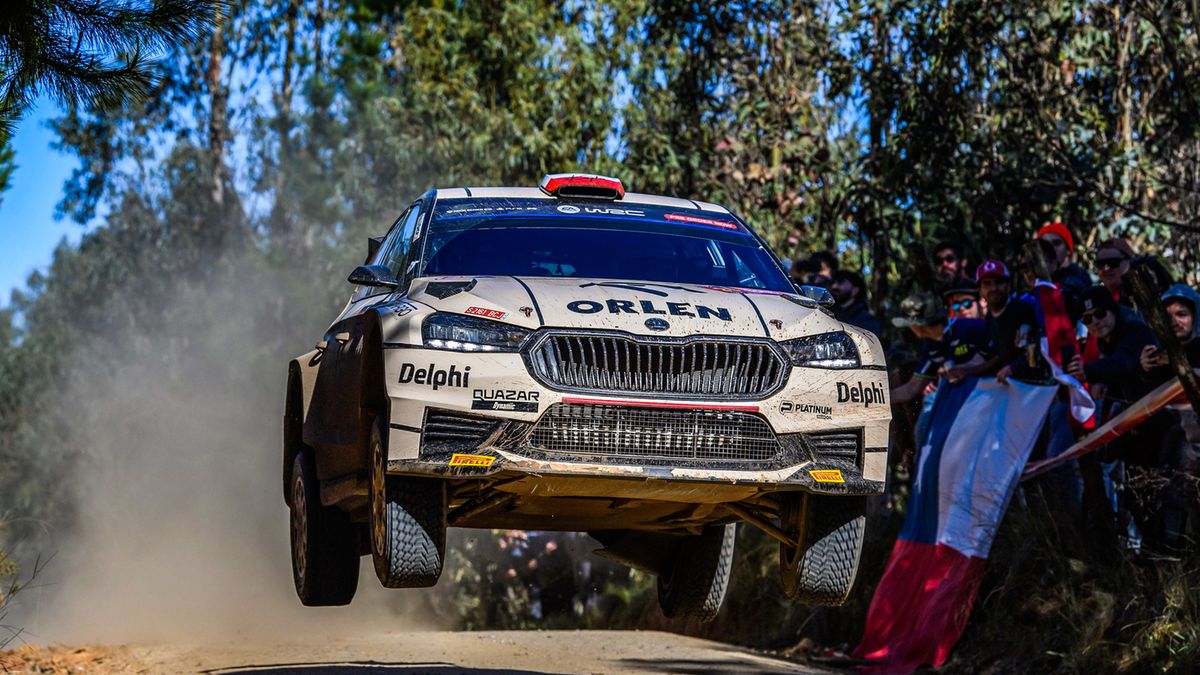 Materiały prasowe / kajto.pl / Na zdjęciu: Kajetan Kajetanowicz