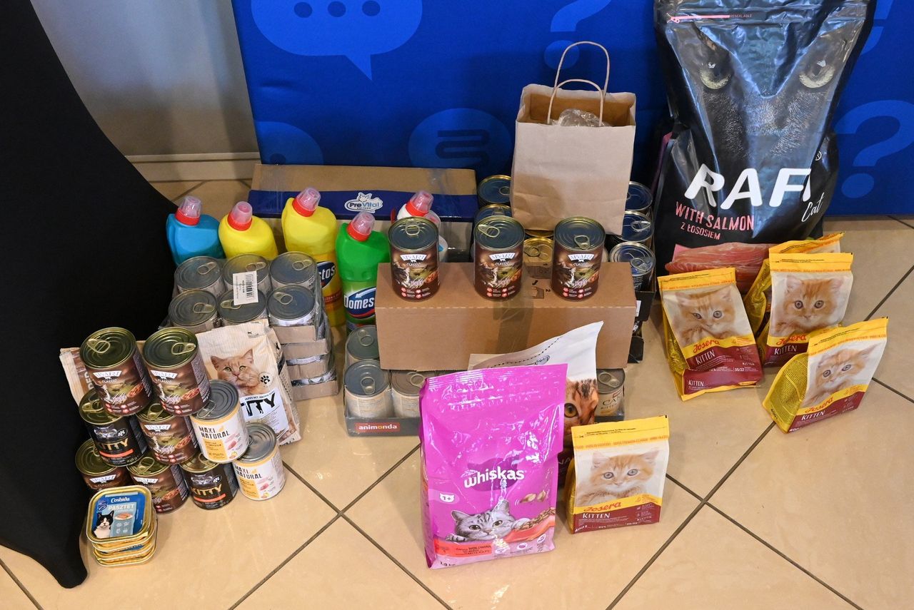 Ostrołęka: Mikołajkowa pomoc dla czworonogów. Miasto szykuje zbiórkę