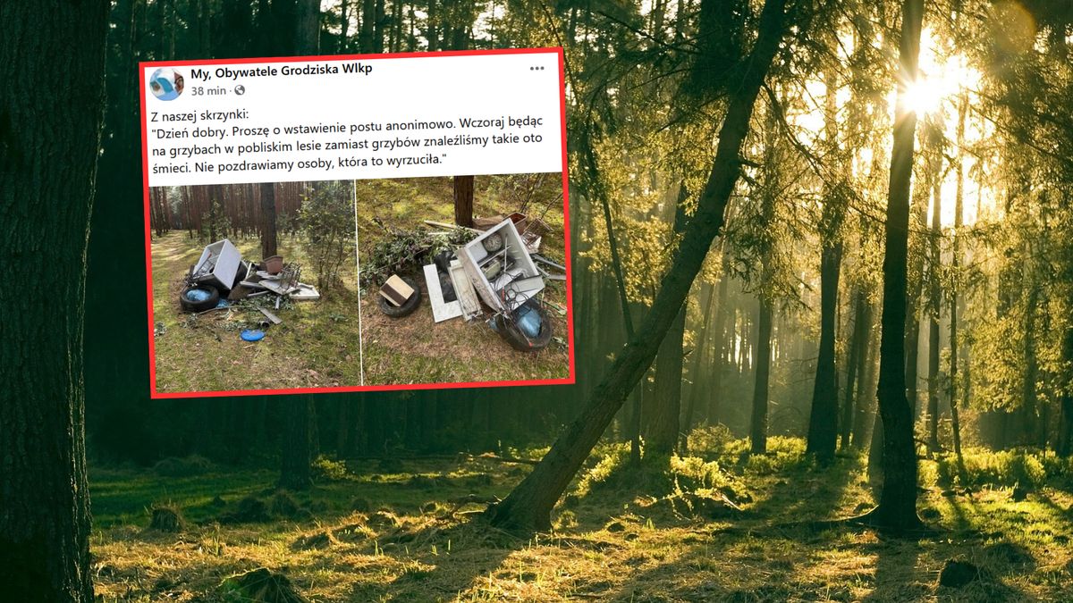 Poszli do lasu na grzyby. Natrafili na ogromne ilości śmieci