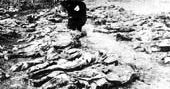 Polska historia najnowsza - kolejne przekłamania