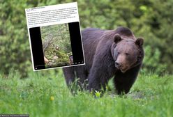 Skandaliczne nagranie z Tatr. Turyści wyjęli smartfony