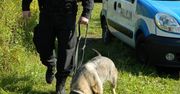 Policjanci odnaleźli dwóch chłopców. 8-latek sam szedł do Tuczna