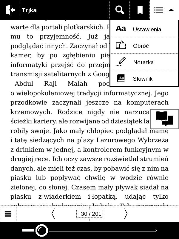 Obraz