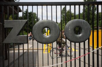 Otworzyli Ptasi Azyl. Teraz mają ważny apel