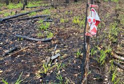 Ukraina. Eksplozje przy granicy z Białorusią. Nie żyje pięć osób