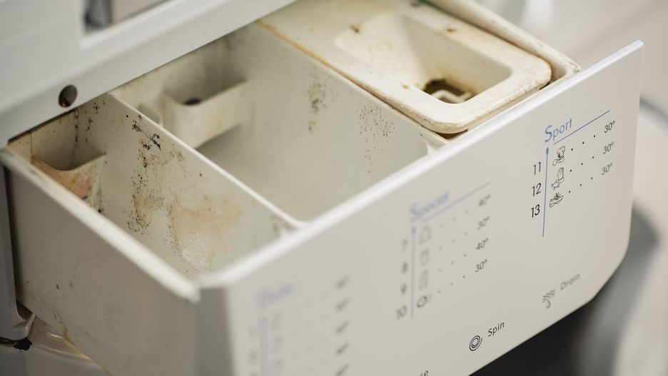 Dirty washing machine
Dirty detergent container
Emilija Manevska