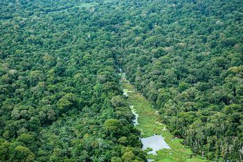Brazylia ogranicza wycinkę Amazonii. To najlepszy wynik od dekady