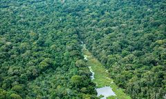 Brazylia ogranicza wycinkę Amazonii. To najlepszy wynik od dekady