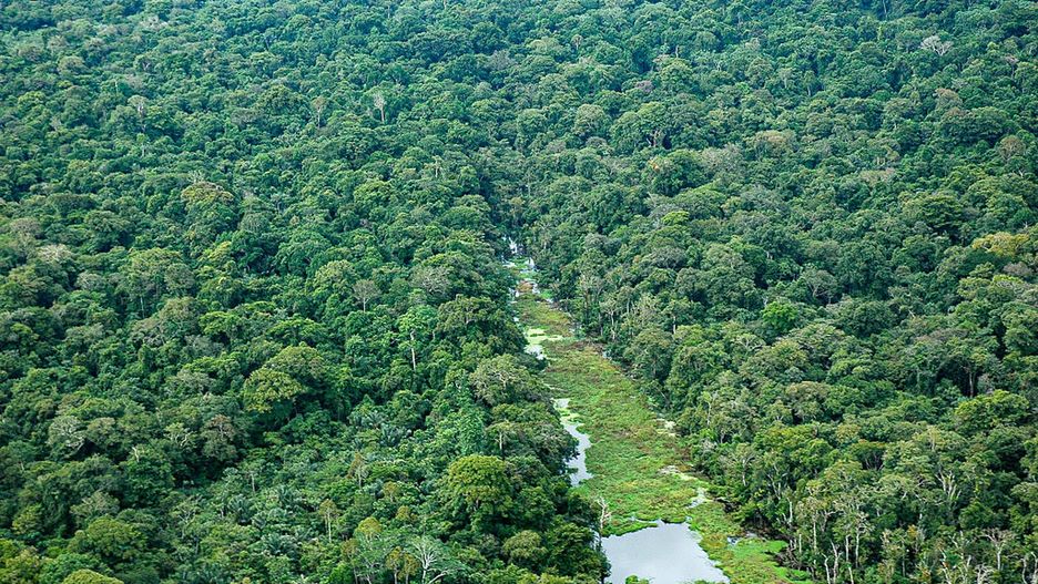 Aerial view of the Amazon rainforest  reveals a straight
AMAZON RAINFOREST, MANICORE, AMAZONAS STATE, BRAZIL - 2025/01/30: Aerial view of the Amazon rainforest  reveals a straight swath of primary forest cleared to construct an unpaved roadfragmenting the dense canopy into two disconnected blocks. Conservationists warn that such habitat division exacerbates biodiversity loss, disrupts wildlife movement and weakens ecosystem services, underscoring the urgent need for sustainable land-use planning in the world's largest tropical forest. (Photo by Lena Trindade/Brazil Photos/LightRocket via Getty Images)
Brazil Photos
habitat connectivity, aerial amazon, secondary growth, conservation, ecosystem services, climate regulation, habitat fragmentation, biodiversity loss, deforestation road, rural infrastructure, primary forest deforestation, environmental impact, forest canopy, preserved forest, aerial dense forest, deforestation drivers, aerial forest, protected area threat, regional planning, disconnected forest, land-use change, riparian clearing, aerial primary forest, green mosaic, anthropogenic disturbance, amazon deforestation, conservation concern, habitat division, endemic species, edge effects, ecological corridor, primary forest, ecosystem resilience, forest fragmentation, manicoré amazonas, road development, aerial amazon rainforest, aerial preserved forest, amazon basin, amazon rainforest aerial, carbon storage loss, dense forest fragmentation, species isolation, preserved forest deforestation, ecological integrity, dense forest deforestation, amazon conservation