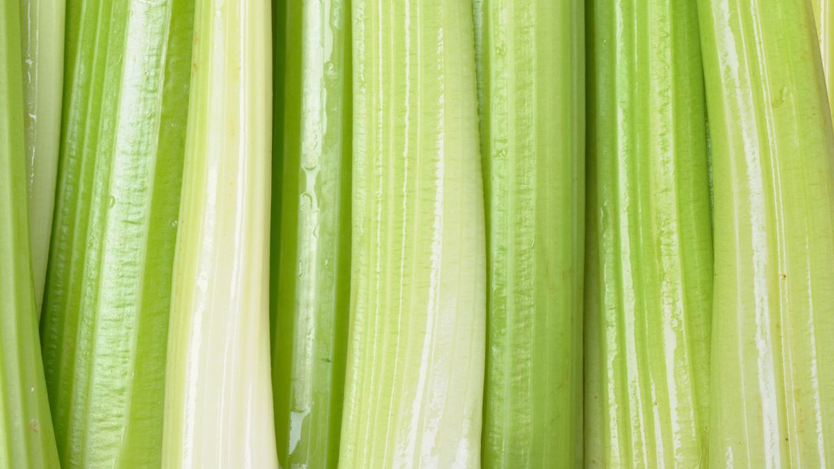 Seler naciowy i jego właściwości odchudzające