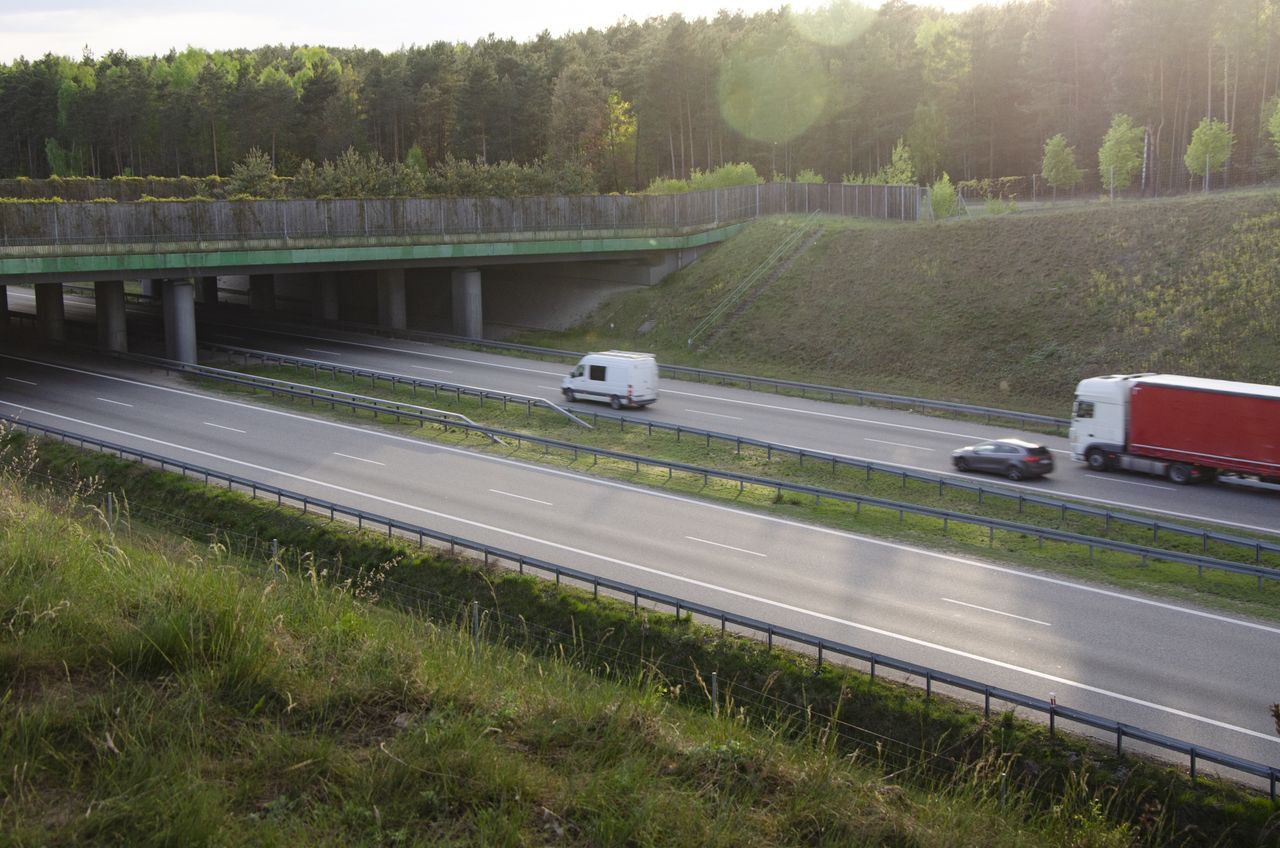 Autostrada A2 zyska kolejny odcinek. GDDKiA ogłosiła przetarg