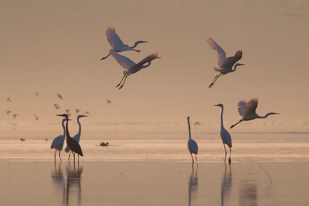 Siena International Photography Awards - Mateusz Piesiak nagrodzony po raz kolejny 7
