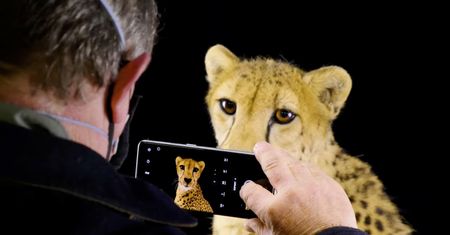 National Geographic i OPPO połączyły siły. Powstała przepiękna seria filmów o zagrożonych gatunkach
