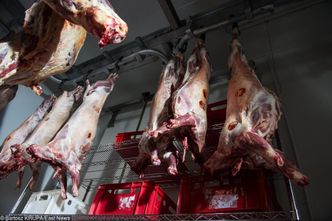 Czesi chcą dodatkowo sprawdzać polskie mięso