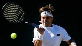 ATP Bastad: David Ferrer i Fernando Verdasco w II rundzie, niepomyślny debiut Tommy'ego Haasa