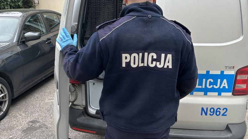 zdjęcie