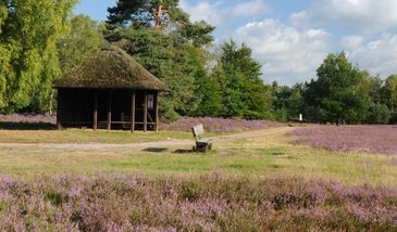 Przez różowo-fioletowe okulary. Dolna Saksonia z perspektywy siodełka