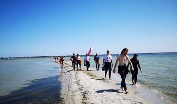 Marsz Śledzia, czyli szalony spacer przez Zatokę Pucką