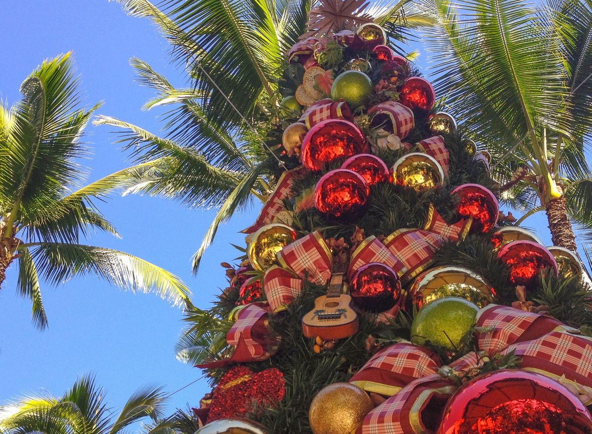 Świąteczna palma na Hawajach