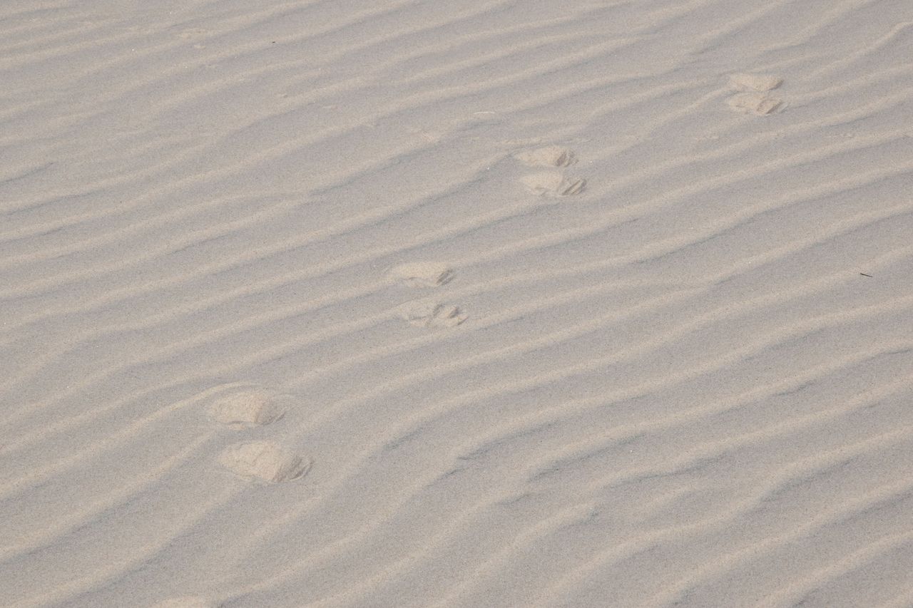 Śpiewające wydmy na pustyni Mojave. To zjawisko występuje wszędzie