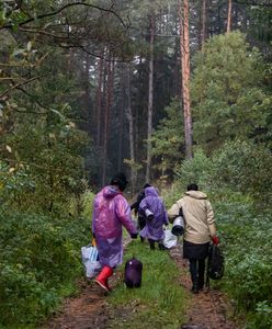 Straż Graniczna o siłowym forsowaniu granicy. Podano szczegółowe dane