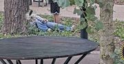 Łódź: Kompletnie pijana 14-latka w parku. Interweniowała Straż Miejska
