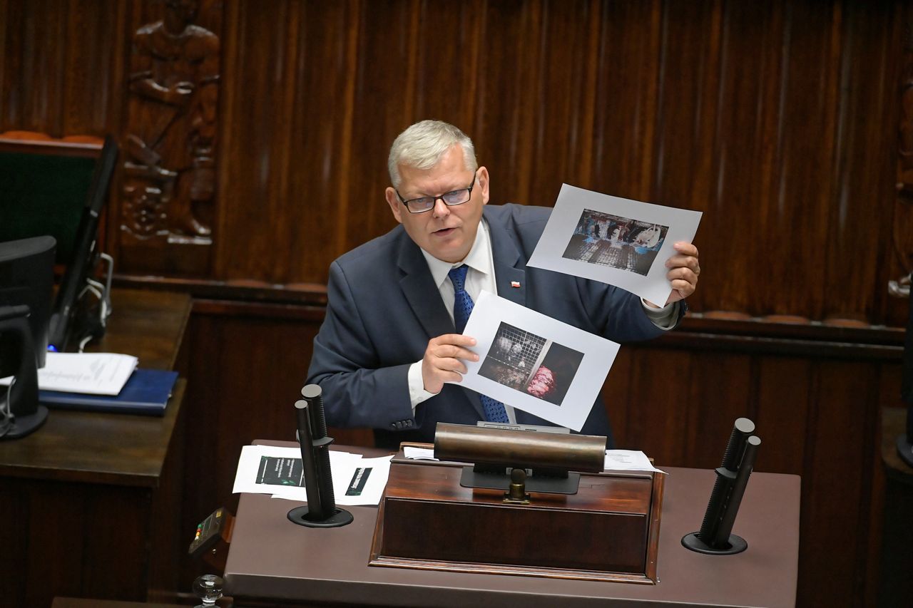 Piątka dla zwierząt. Posłowie zagłosowali ws. zakazu hodowli zwierząt futerkowych