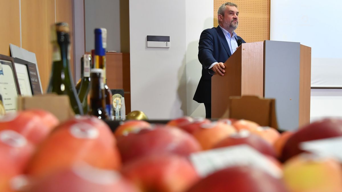 Cydr ma problemy. Procenty zainteresowanych tym napojem Polaków są coraz mniejsze.