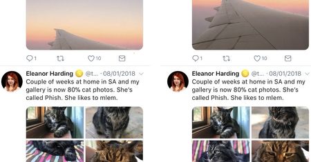Zdjęcia wykadrowane jak należy - dobra zmiana na Twitterze