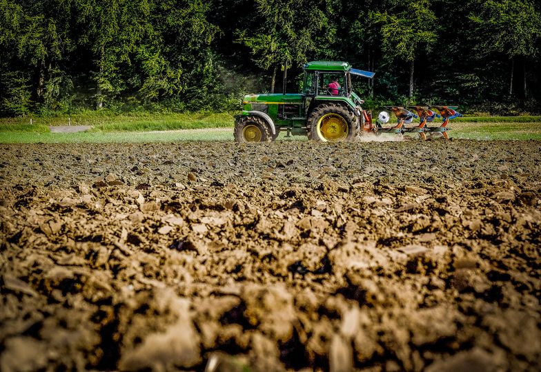 Program rolny PiS: wyższe dopłaty z UE, rekompensaty za szkody w uprawach