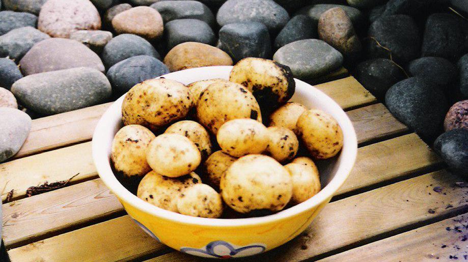 Gotowanie ziemniaków 1