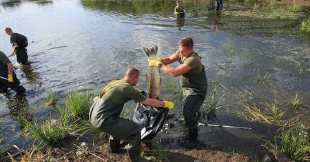 Zatruta Odra. Lecą głowy za brak reakcji na ekologiczną katastrofę