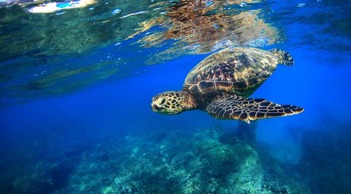 Niesamowite wyspy Australii