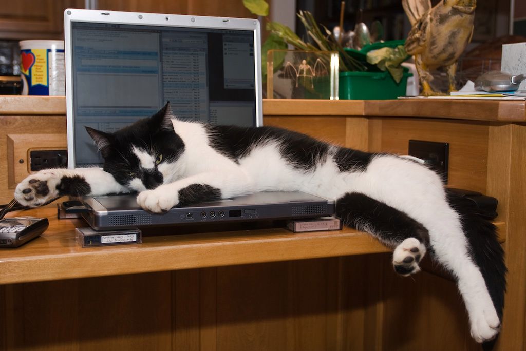 Laptop czy komputer stacjonarny? Za i przeciw [A.D. 2012] 4
