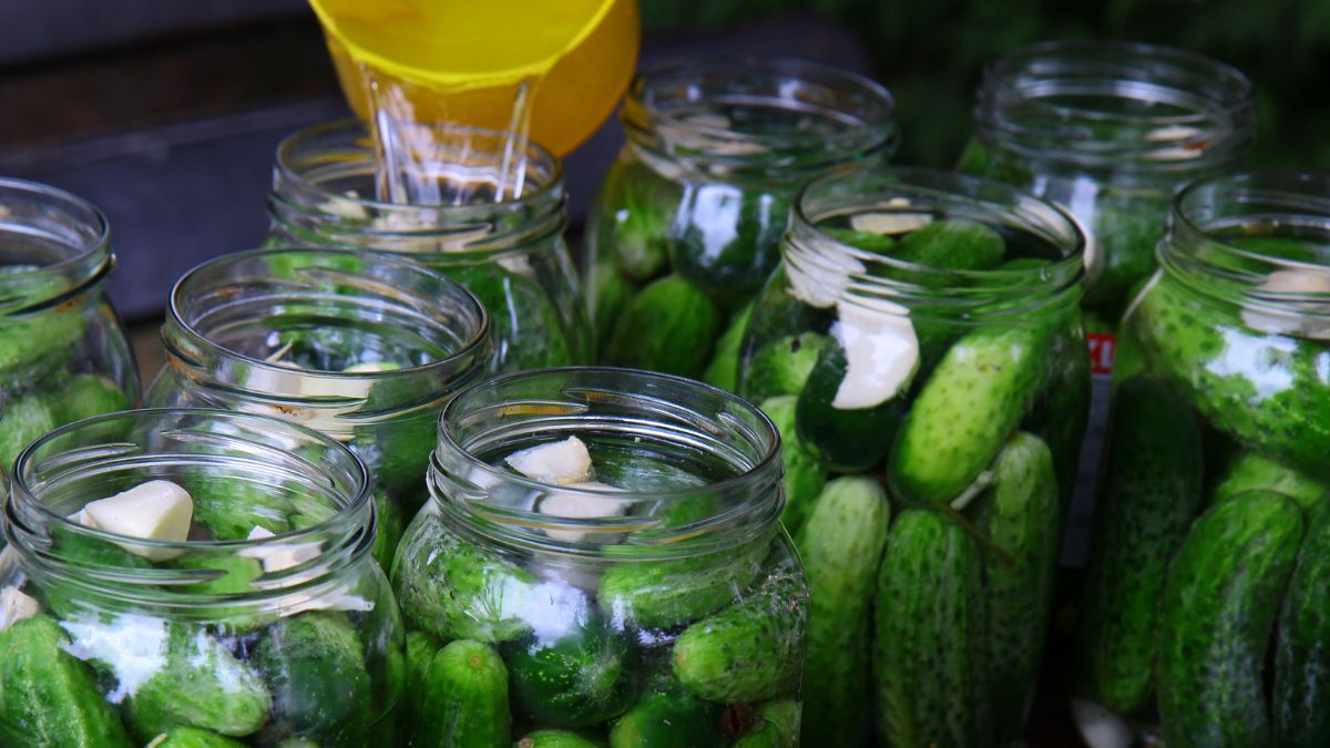 Kiszenie ogórków