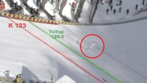 Skoki narciarskie. Puchar Świata Sapporo 2020. Stefan Kraft skakał w innej lidze. Zdeklasował rywali! (wideo)
