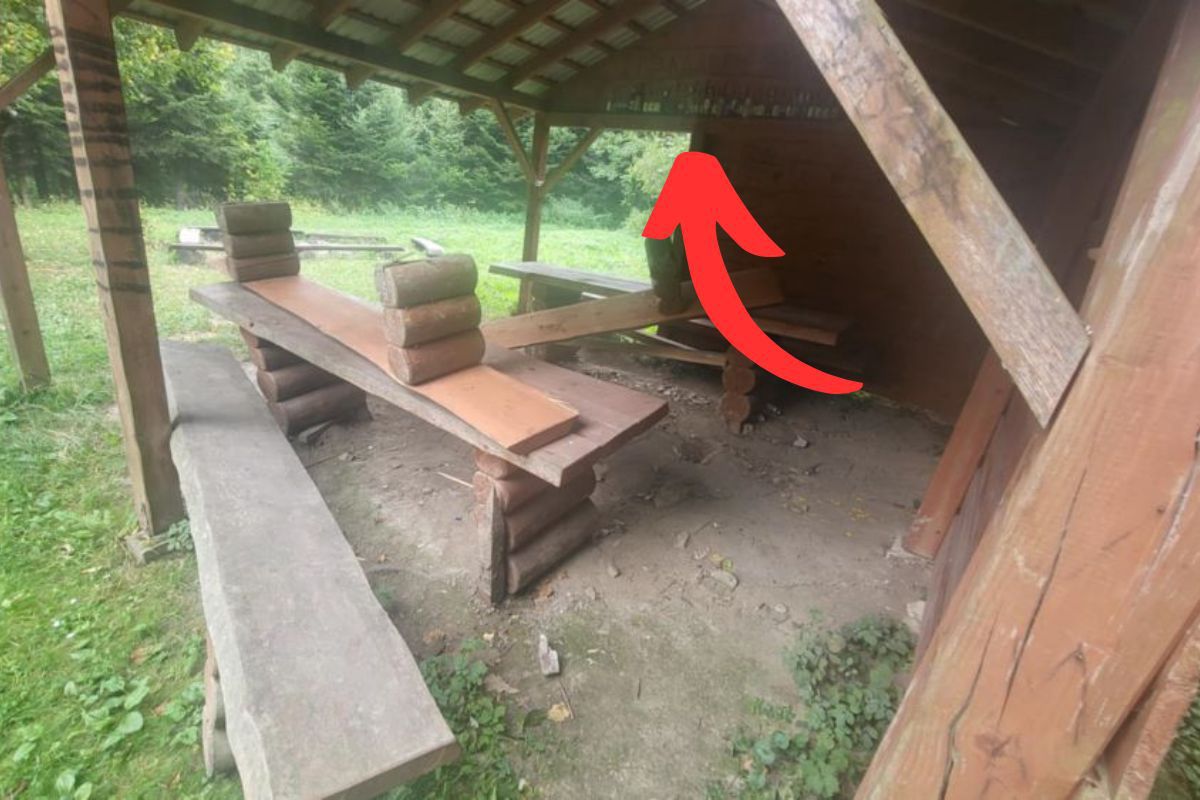 Zdewastowana wiata to jeszcze nic. Oto, co zauważyli leśnicy