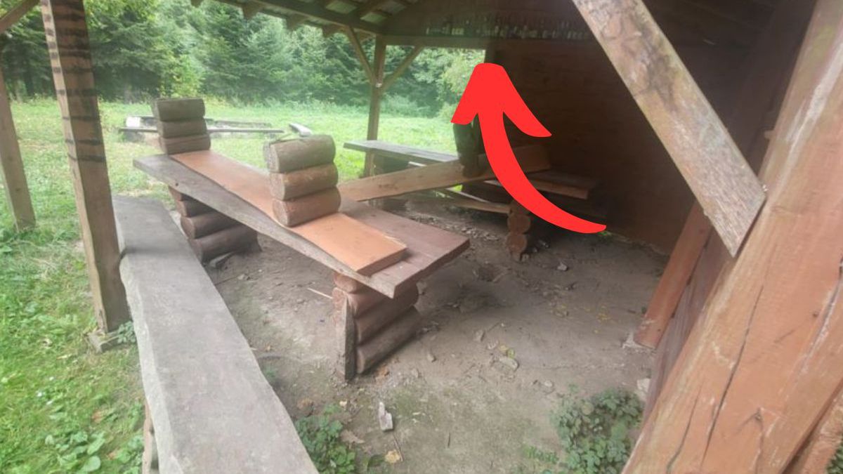 Zdewastowana wiata w Nadleśnictwie Strzyżów