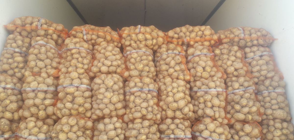 Ceny ziemniaków w hurcie w grudniu 2025 – nawet do 3,5 zł/kg