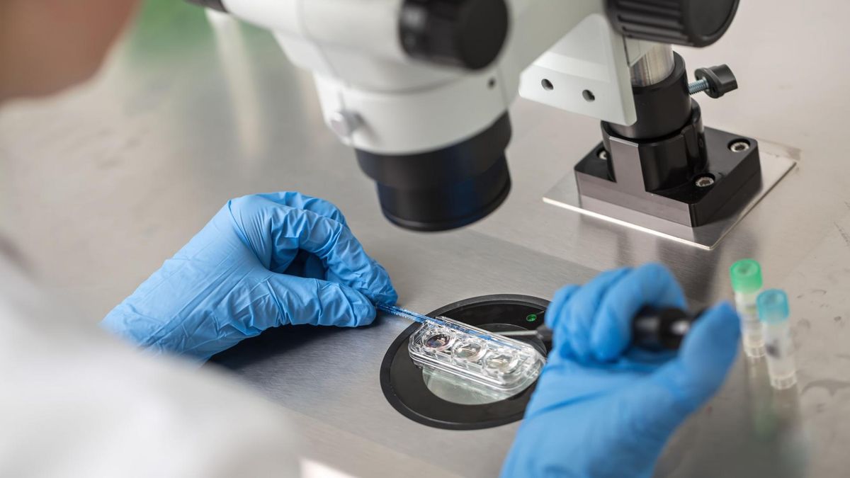 Dzięki in vitro urodzi dziecko zmarłego męża