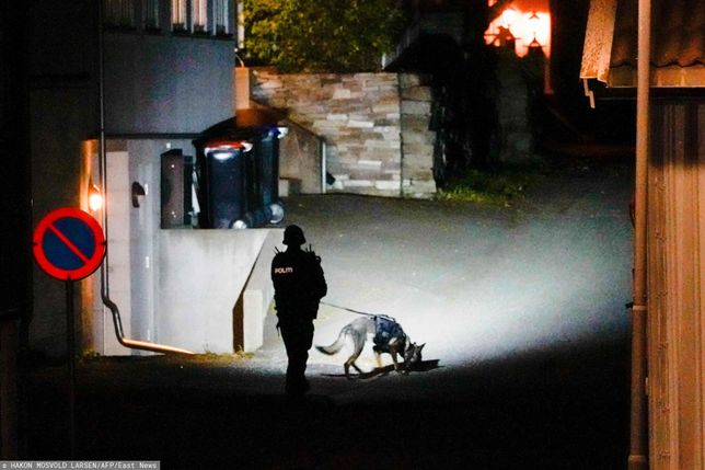 Atak w norweskim mie?  Cie Kongsberg En politimann bruker en snifferhund på stedet der de etterforsker i Kongsberg, Norge, etter at en mann bevæpnet med en bue drepte flere mennesker før han ble arrestert av politiet 13. oktober 2021. - A En mann bevæpnet med en bue og piler drepte flere mennesker og såret andre i byen Kongsberg i Sørøst-Norge 13. oktober 2021, opplyser politiet og legger til at de har pågrepet den mistenkte. "Dessverre kan vi bekrefte at det er flere skadde og også dessverre flere døde i denne episoden," sa lokal politimann Øyvind Aas på en pressekonferanse. "Mannen som begikk denne handlingen er varetektsfengslet av politiet og det er ifølge våre opplysninger kun én person involvert." (Foto: H? Kon Mosvold Larsen / NTB / AFP) / Norway OUT / CROPHAKON ALTERNATIVO MOSVOLD LARSEN