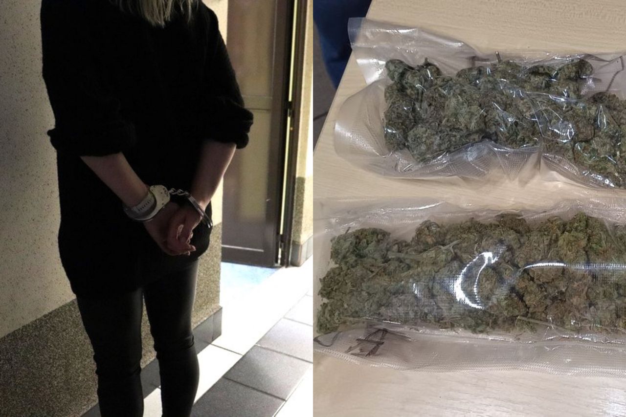 Zamiast kota, narkotyki w transporterze. Kobiecie grozi 12 lat więzienia