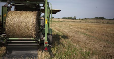 Bez decyzji ws. rekompensaty dla rolników. "Sytuacja się komplikuje"