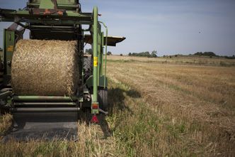 Bez decyzji ws. rekompensaty dla rolników. "Sytuacja się komplikuje"