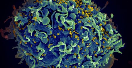 Obiecujące rezultaty testów eksperymentalnej szczepionki przeciwko HIV