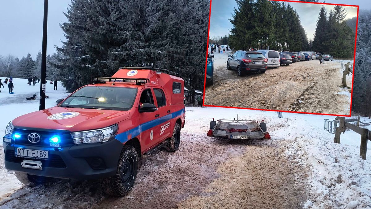 Apelują o rozsądek w górach. Chodzi o parkowanie aut