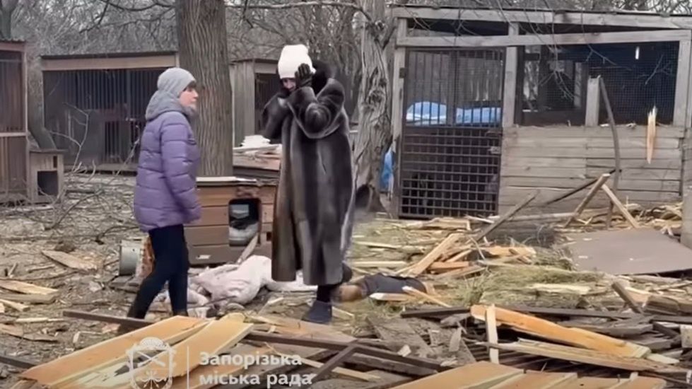 Atak na schronisko w Zaporożu