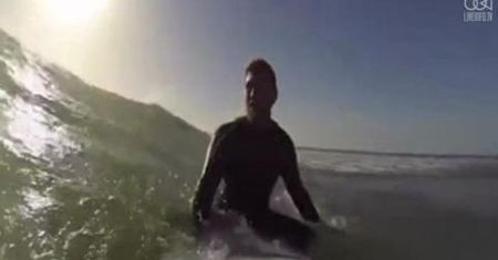 Ciekawska foka bawi się z surferami we Francji