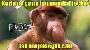 "Jakiegoś czili nie umiejo pokonać". Zobacz memy po meczu Polska - Chile